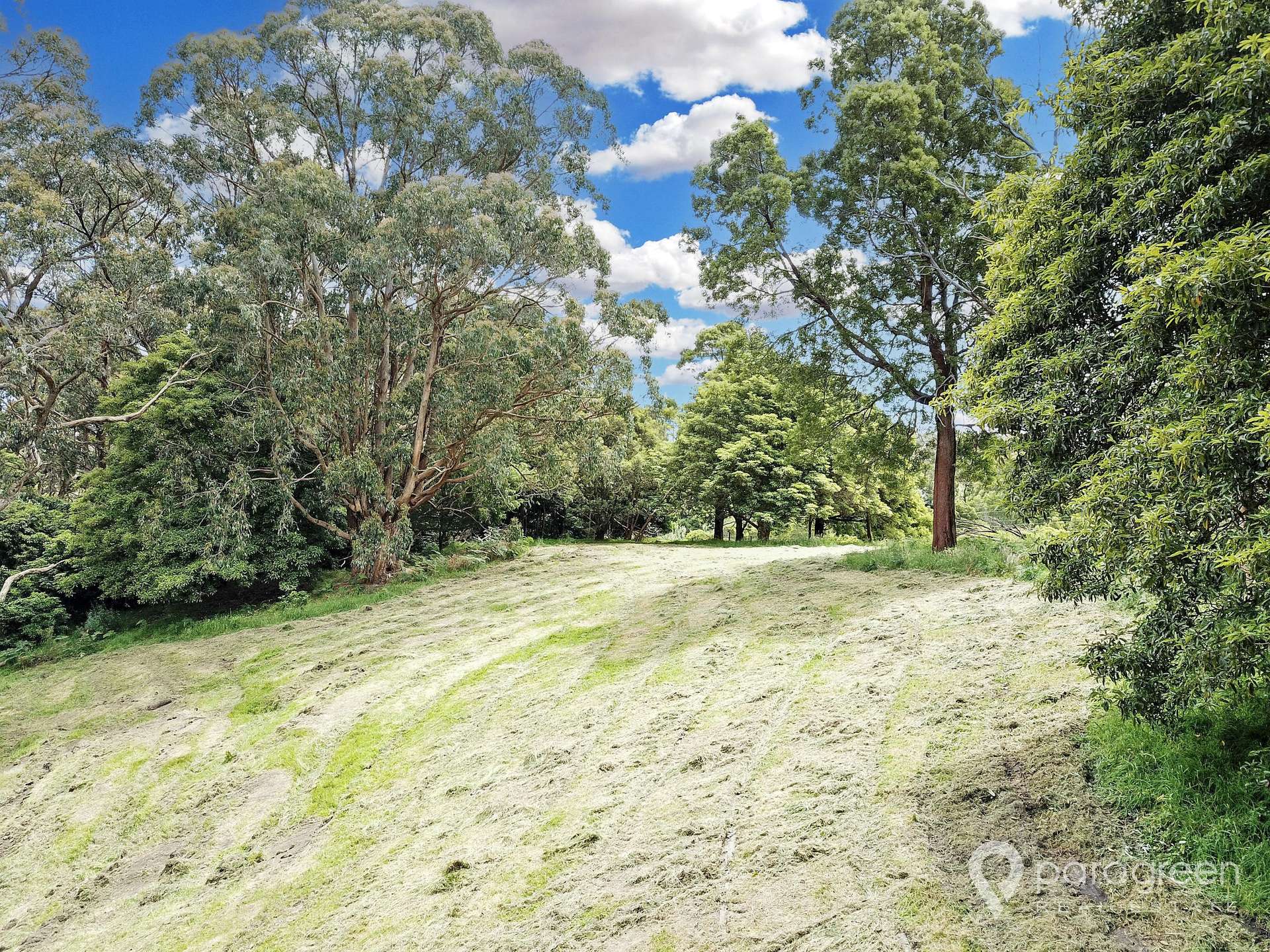 13 Winchester Street, Foster For Sale by Farmbuy.com - image 14