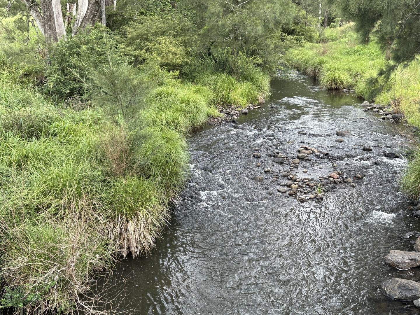1061 Lynches Creek Road, Kyogle For Sale by Farmbuy.com - image 2