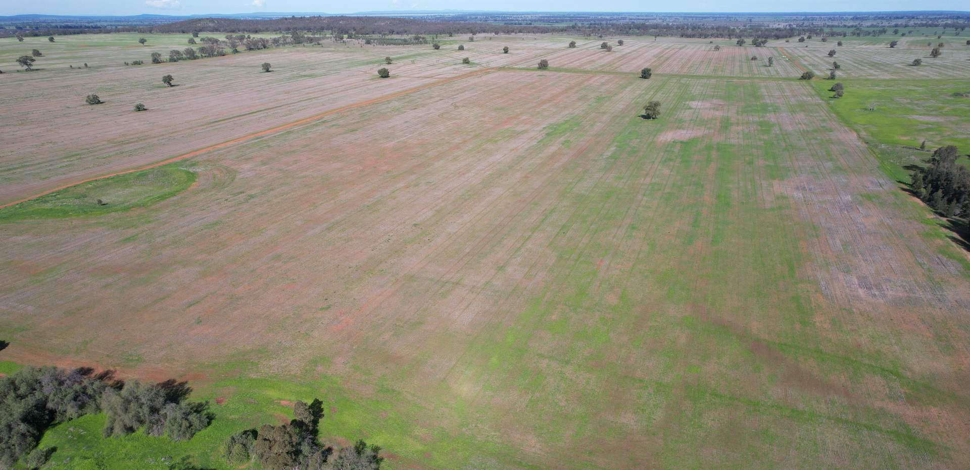 120 Ganantagi Road, Yarrabandai For Sale by Farmbuy.com - image 18