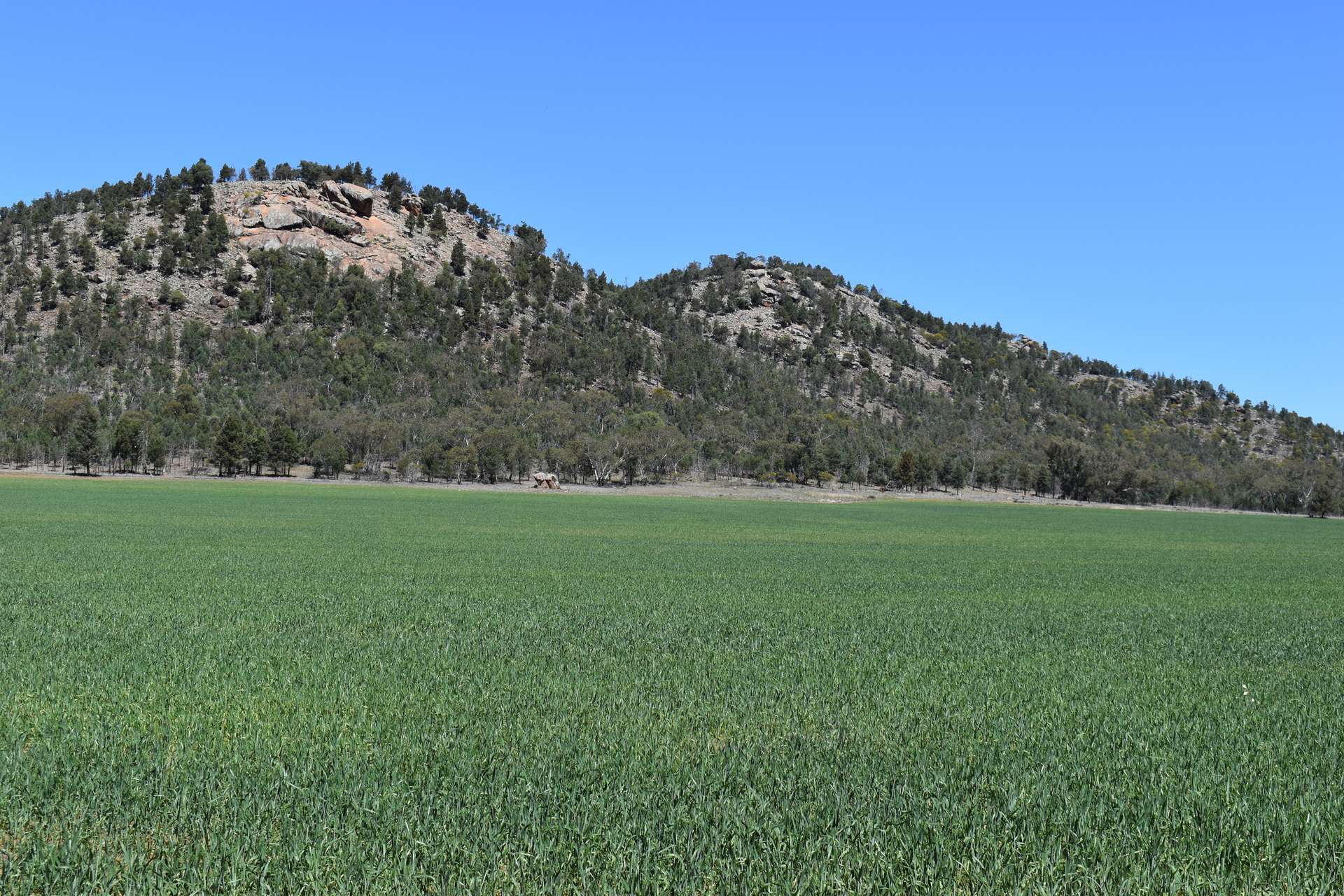 120 Ganantagi Road, Yarrabandai For Sale by Farmbuy.com - image 14