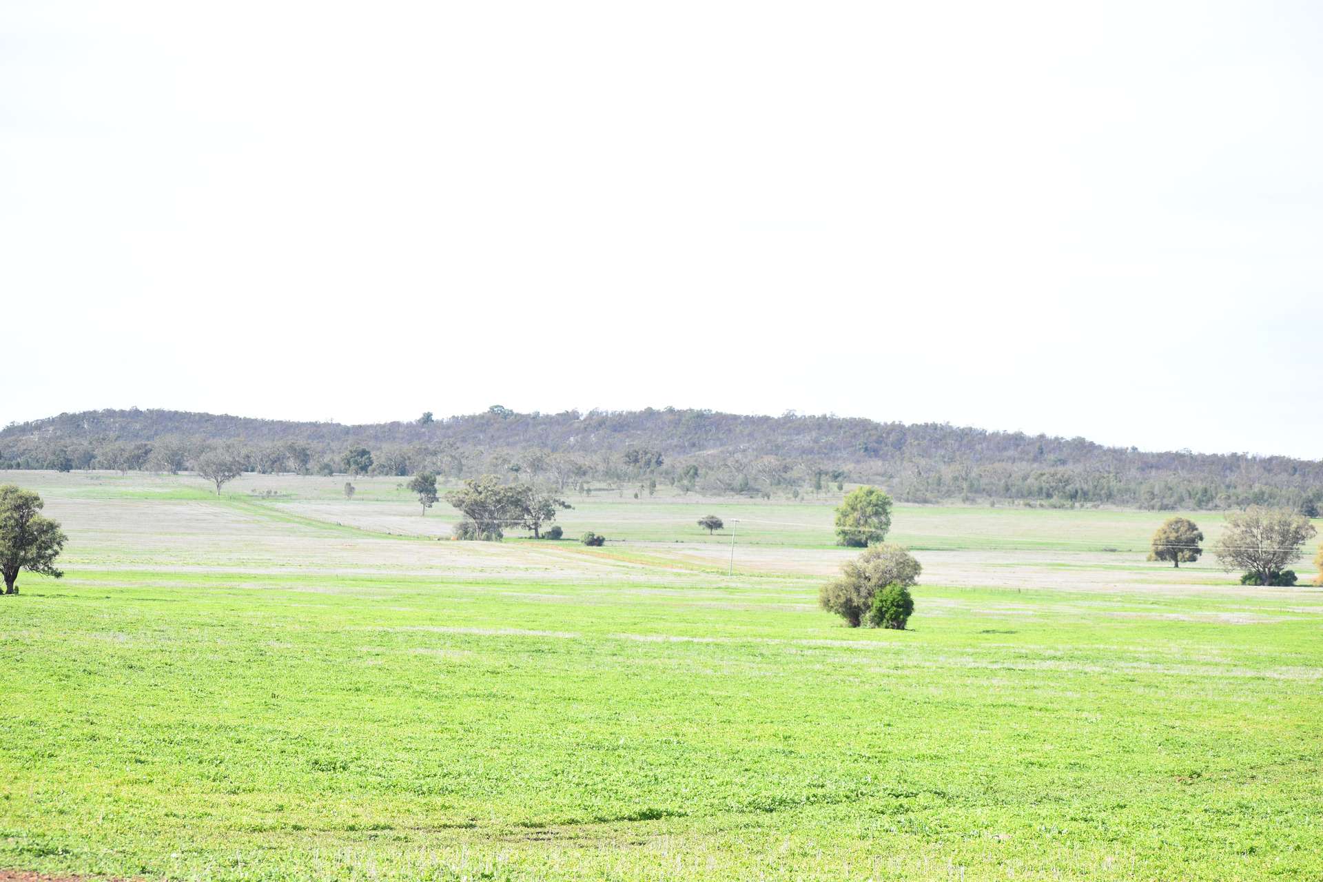 120 Ganantagi Road, Yarrabandai For Sale by Farmbuy.com - image 15