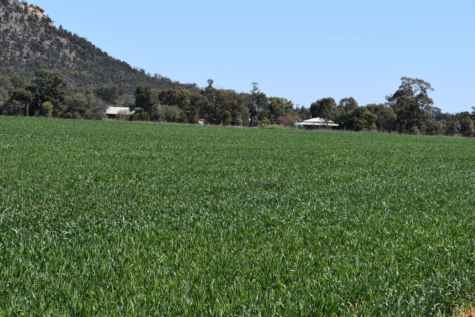 120 Ganantagi Road, Yarrabandai For Sale by Farmbuy.com - image 11