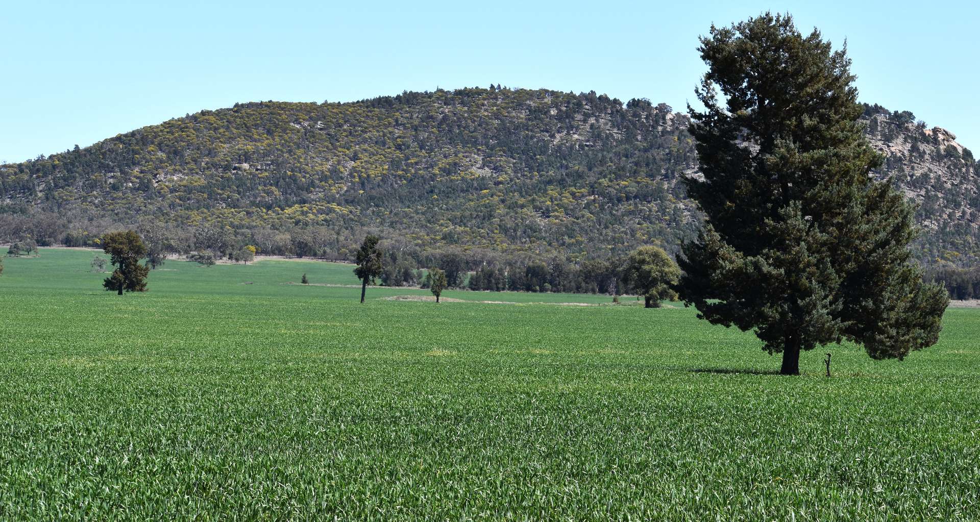 120 Ganantagi Road, Yarrabandai For Sale by Farmbuy.com - image 12