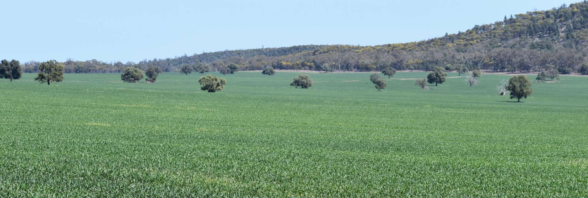 120 Ganantagi Road, Yarrabandai For Sale by Farmbuy.com - image 8