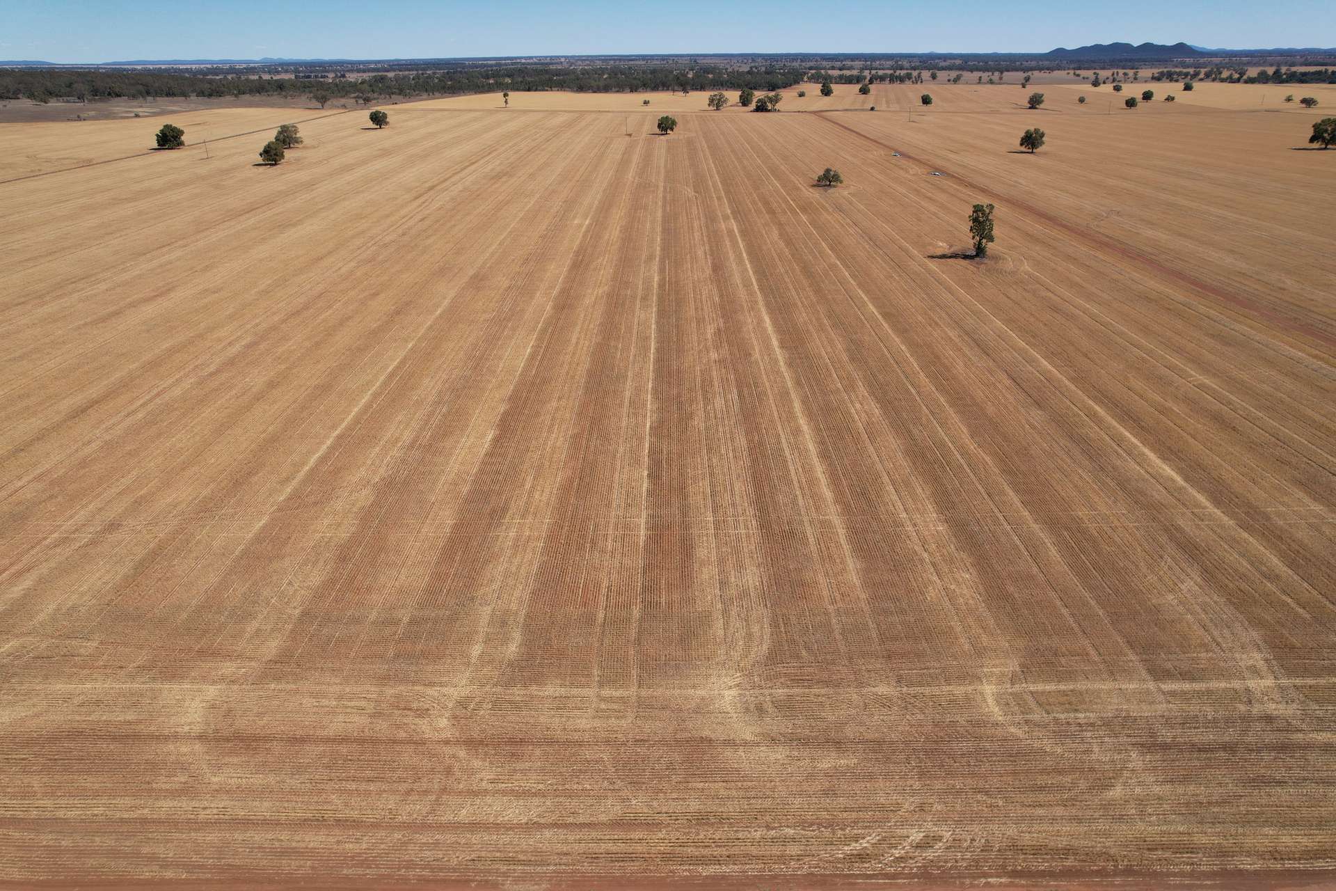 120 Ganantagi Road, Yarrabandai For Sale by Farmbuy.com - image 22