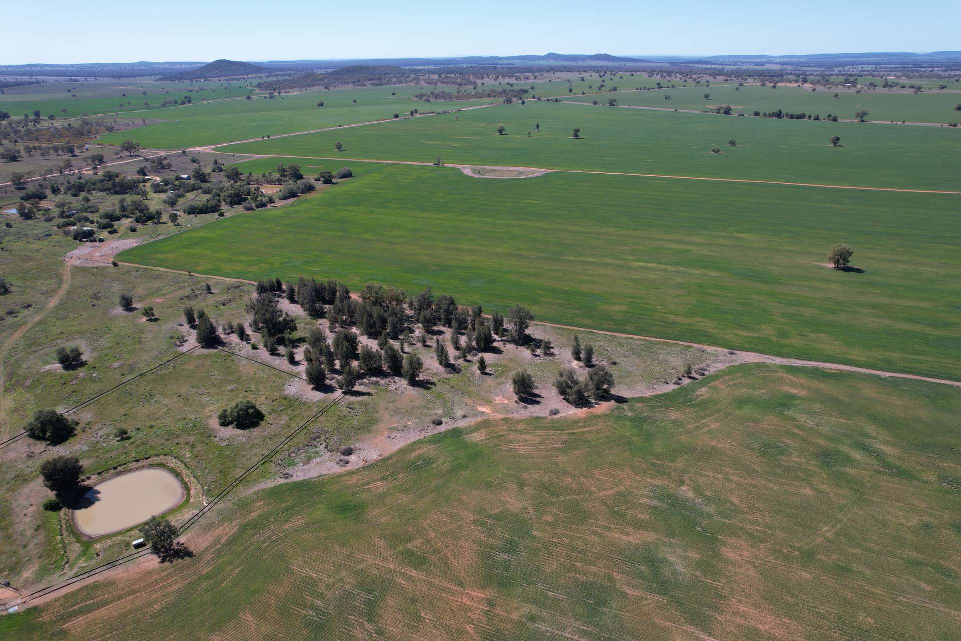 120 Ganantagi Road, Yarrabandai For Sale by Farmbuy.com - image 6