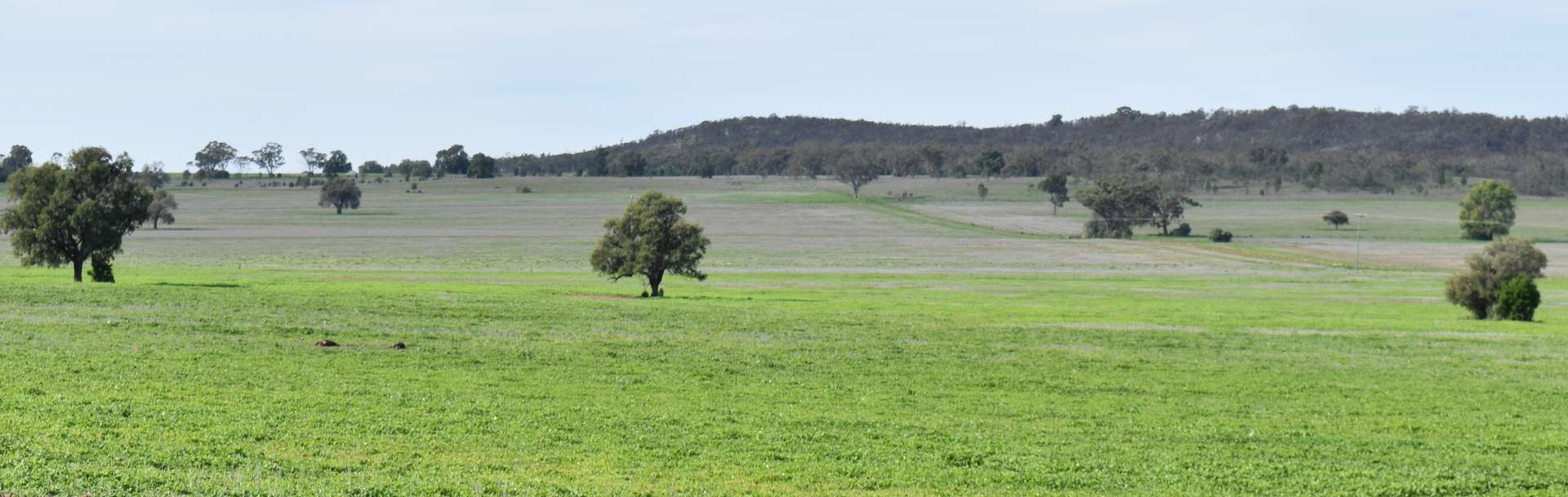 120 Ganantagi Road, Yarrabandai For Sale by Farmbuy.com - image 16