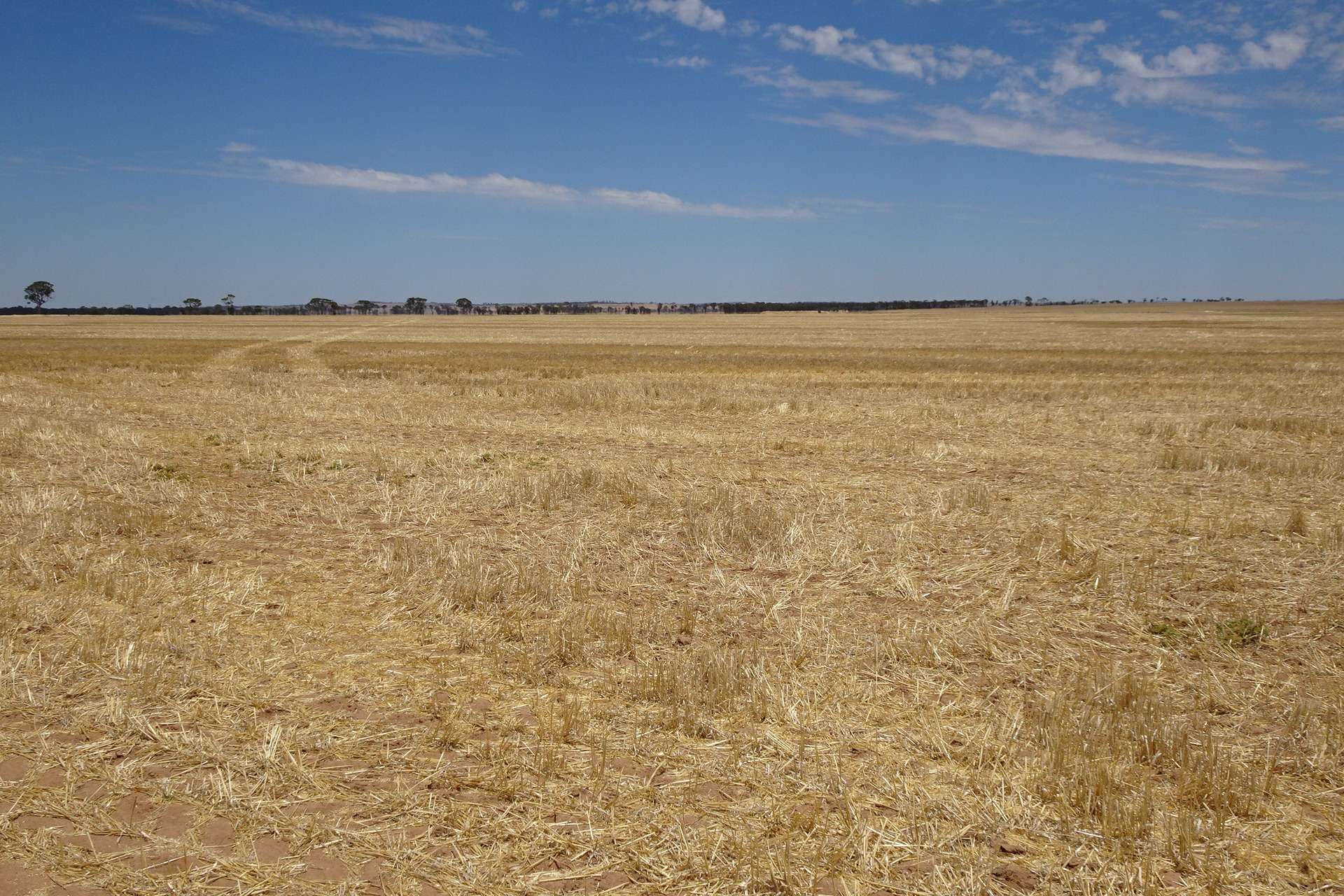 3397 Bendering Road, Kondinin Sold by Farmbuy.com - image 12