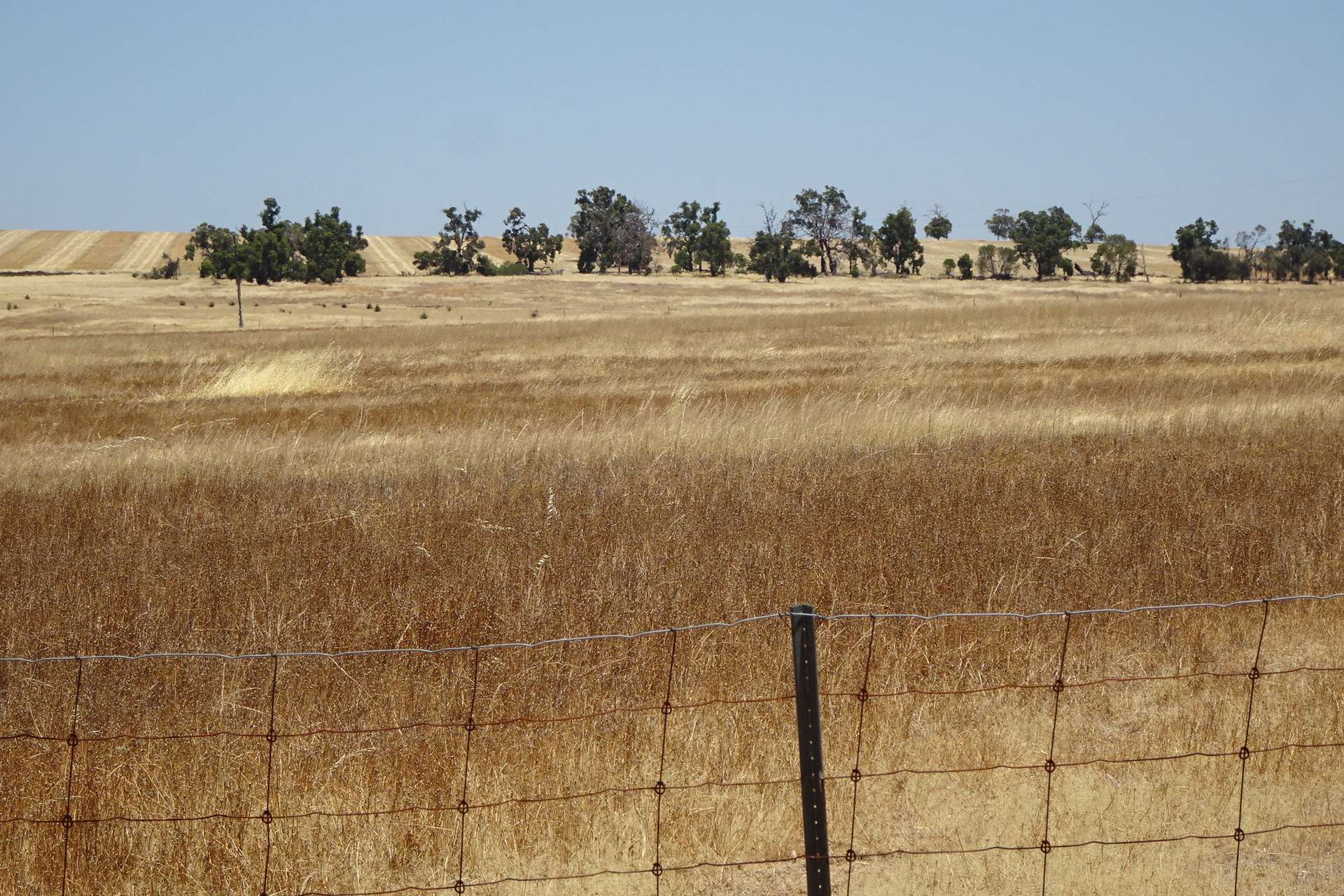 160 Chittleborough Road, Brookton Auction by Farmbuy.com - image 10