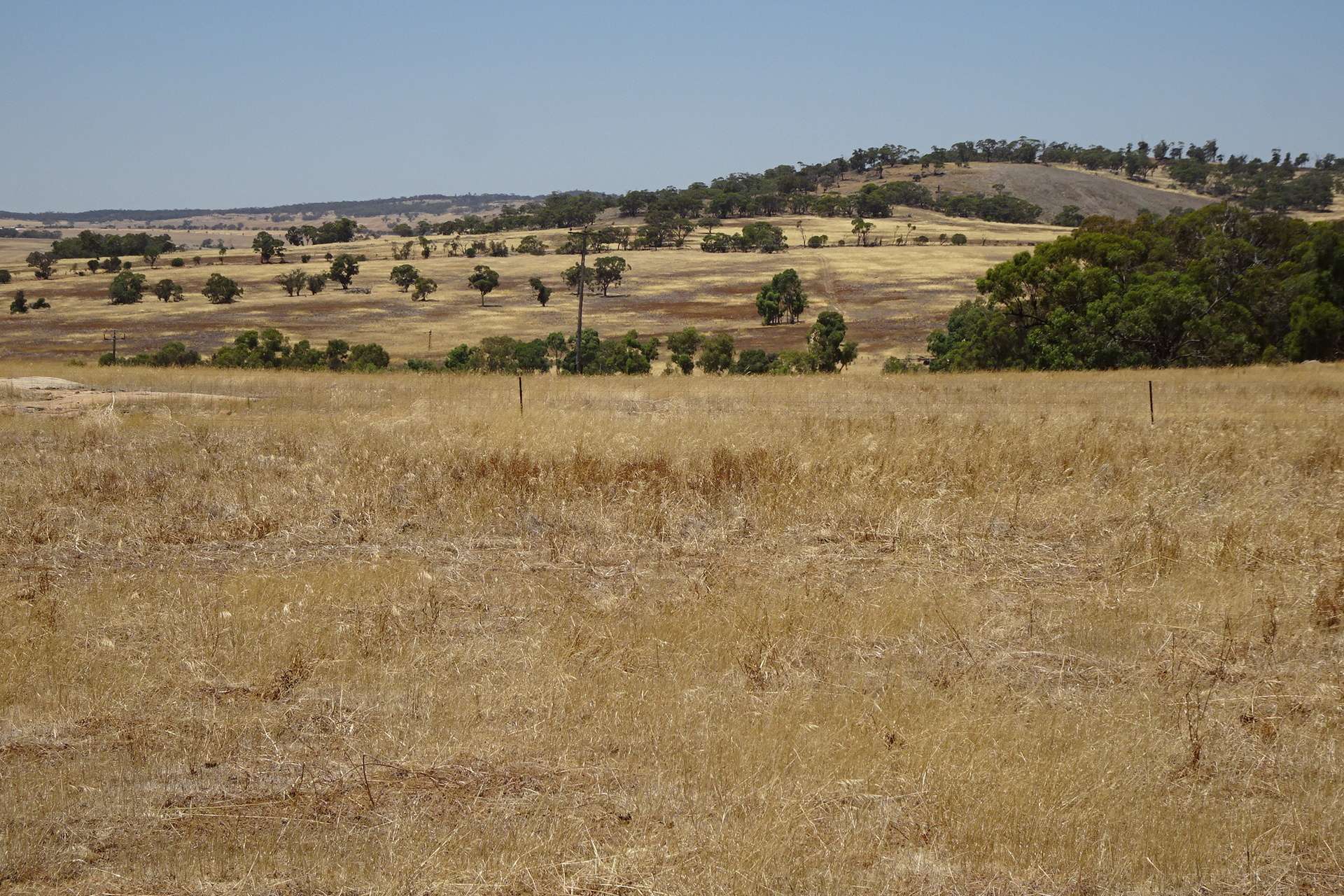 160 Chittleborough Road, Brookton Auction by Farmbuy.com - image 5