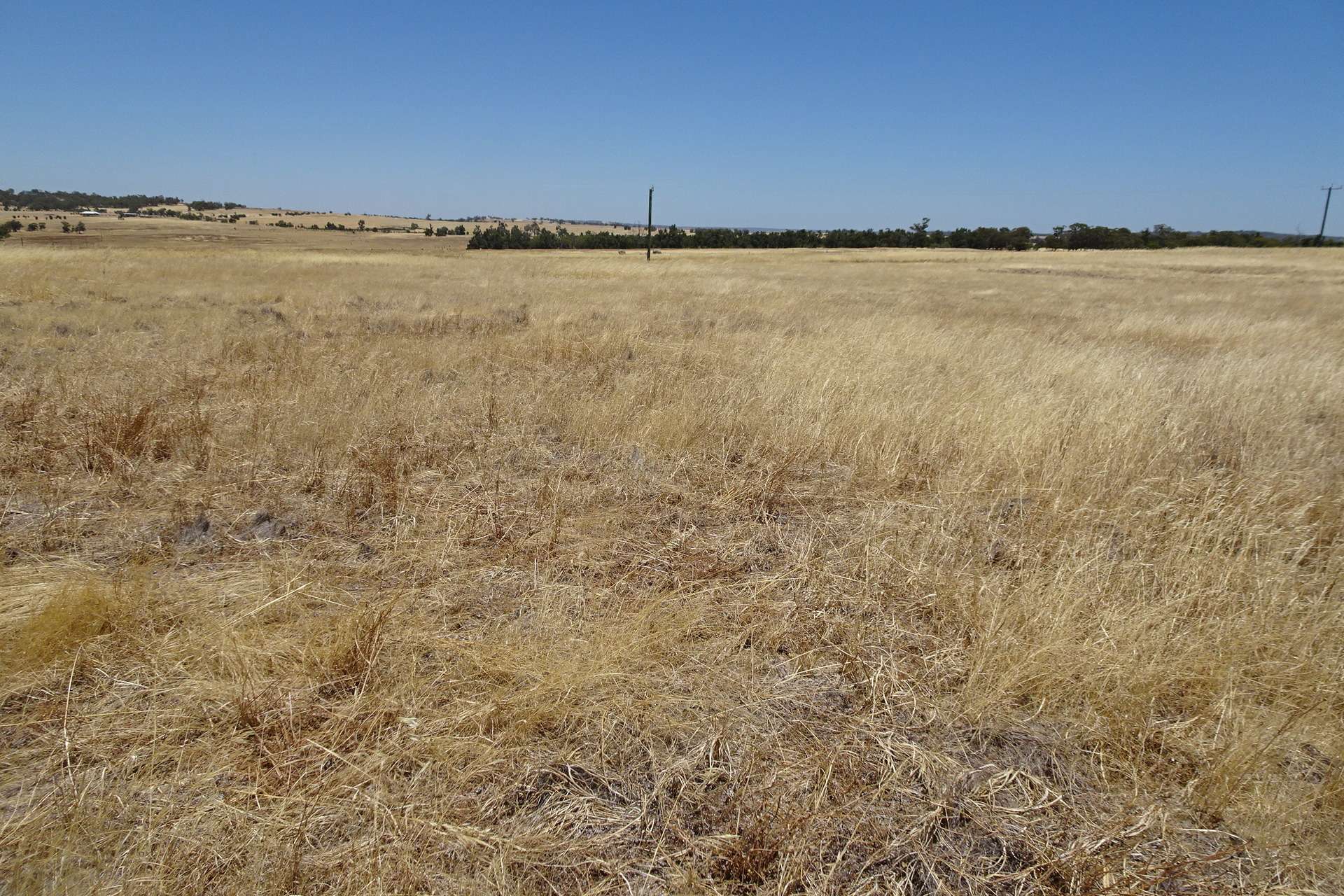 160 Chittleborough Road, Brookton Auction by Farmbuy.com - image 3