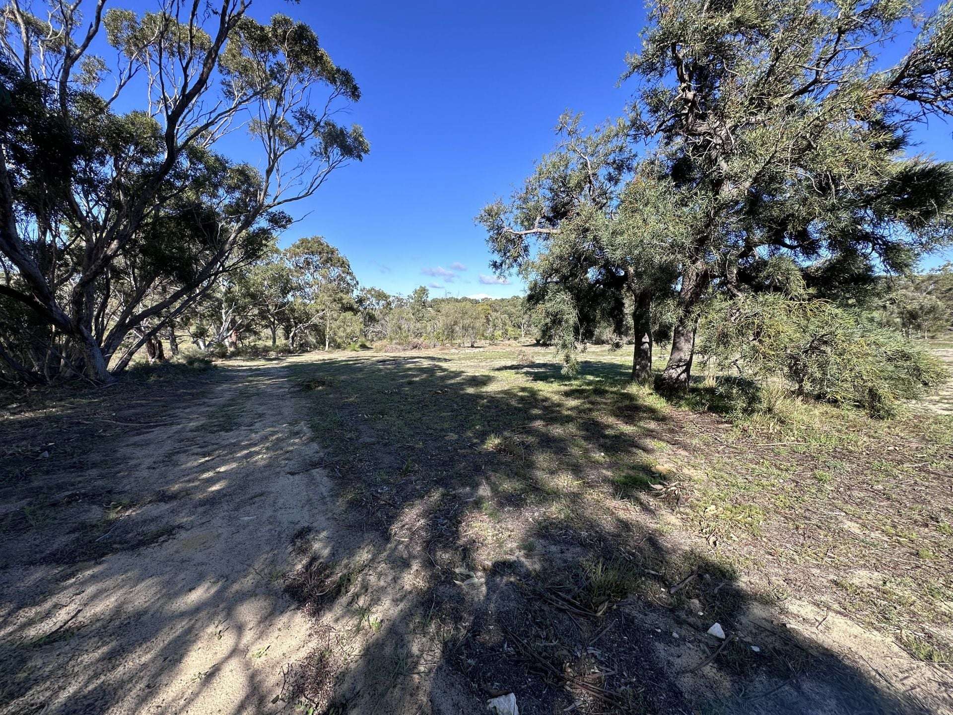 68 Kangaroo Way, Nilgen For Sale by Farmbuy.com - image 22