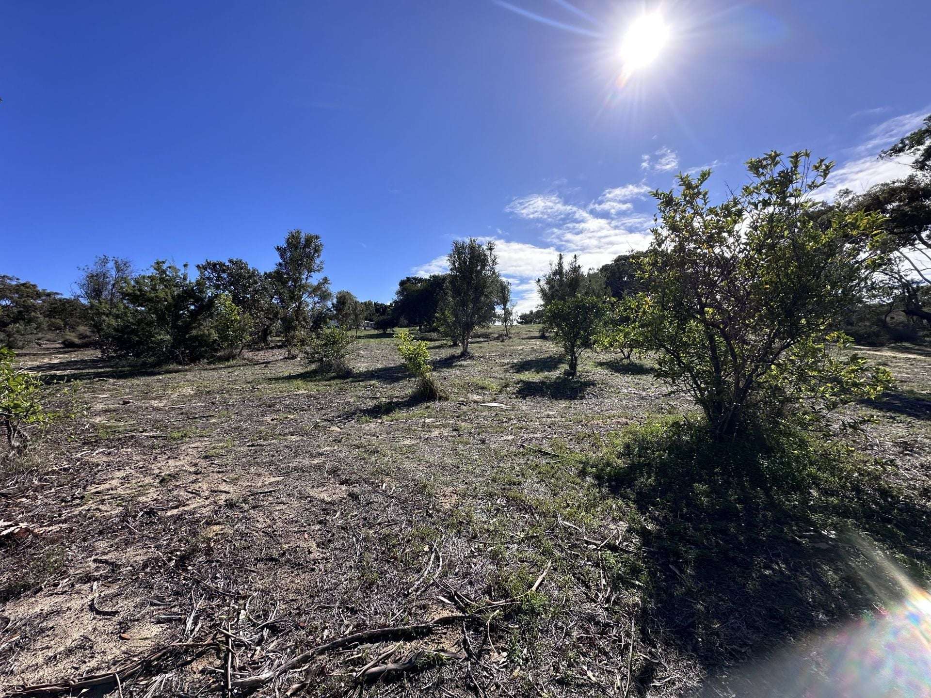 68 Kangaroo Way, Nilgen For Sale by Farmbuy.com - image 25