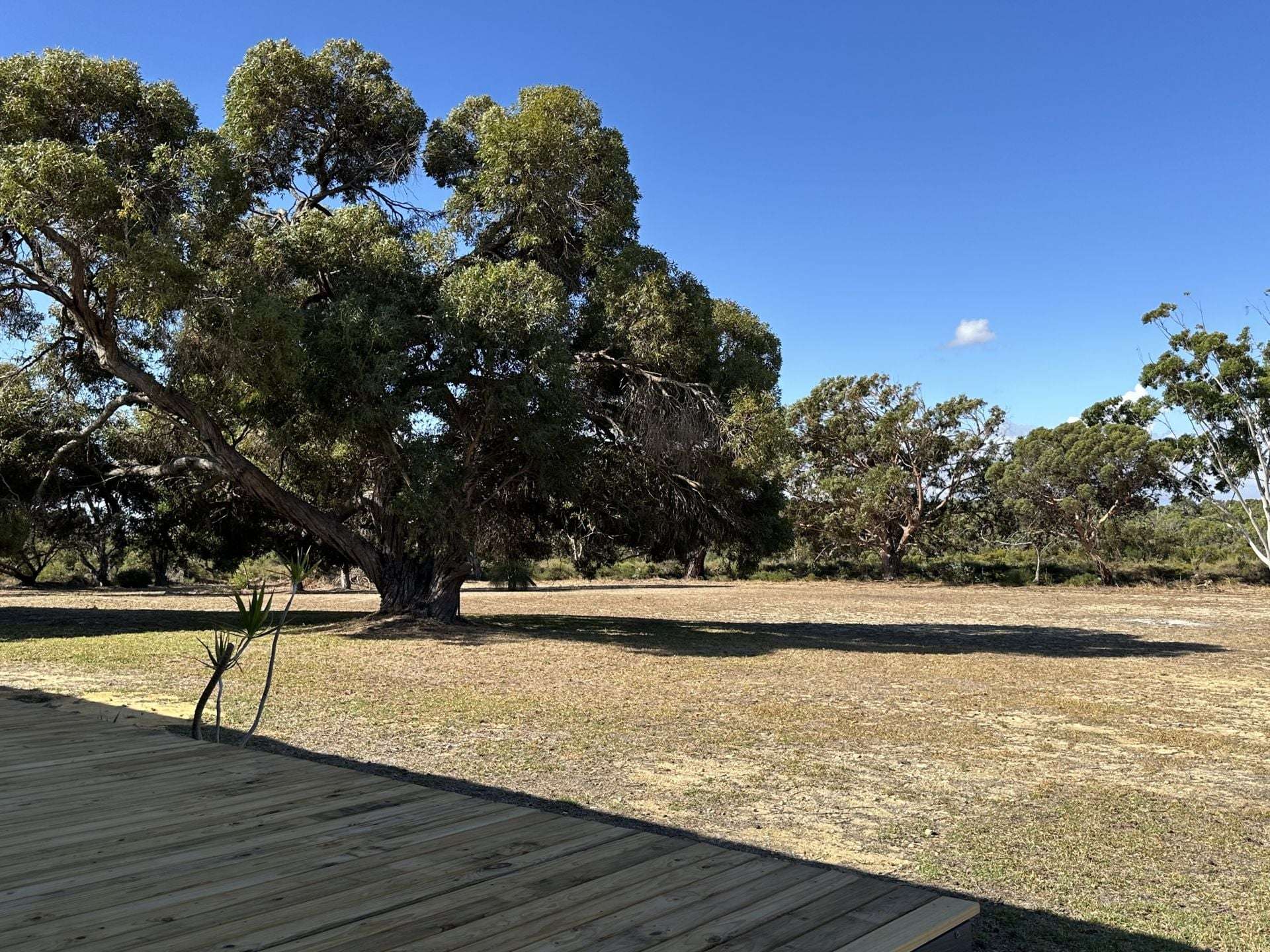 68 Kangaroo Way, Nilgen For Sale by Farmbuy.com - image 30