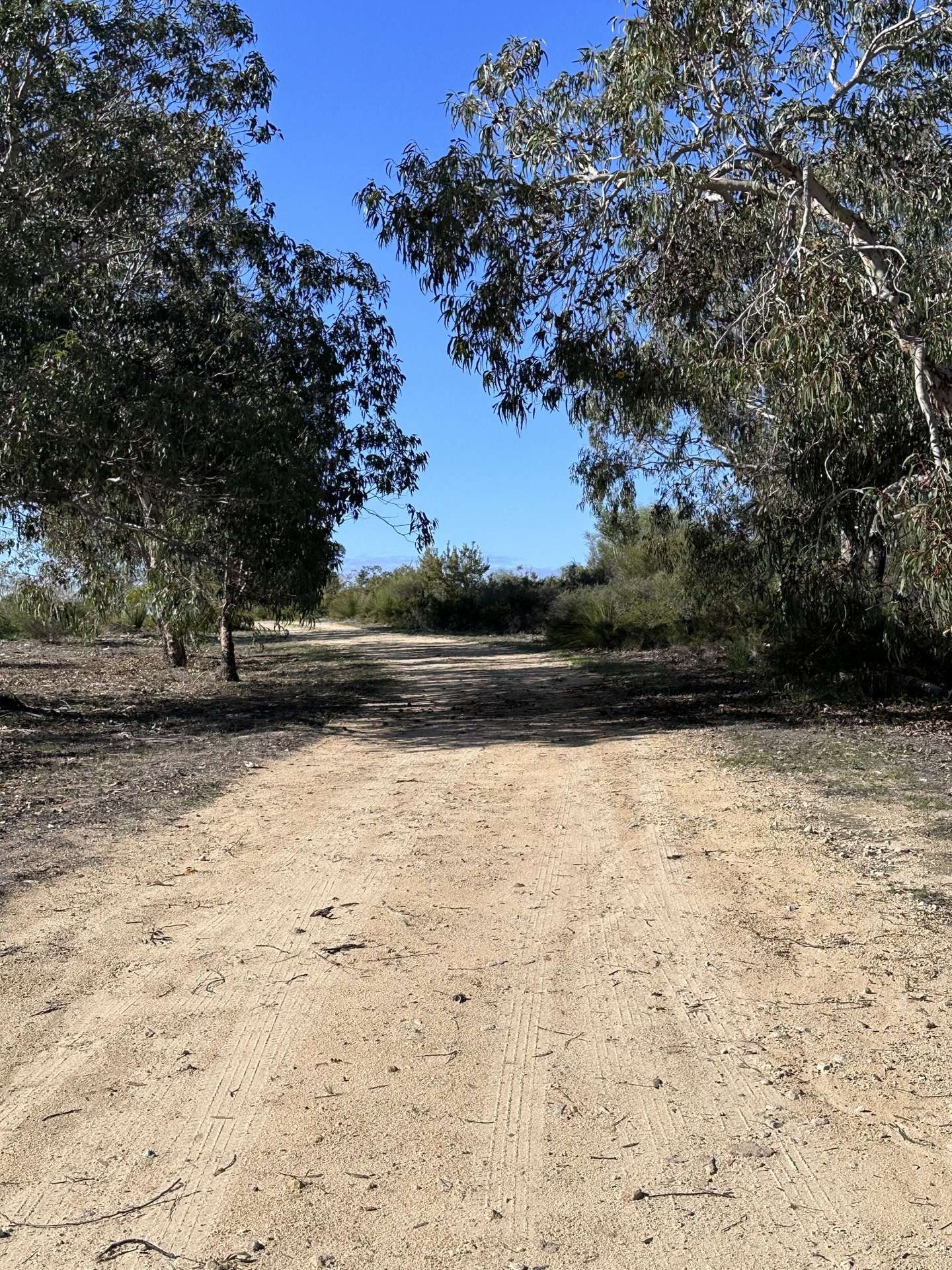 68 Kangaroo Way, Nilgen For Sale by Farmbuy.com - image 20