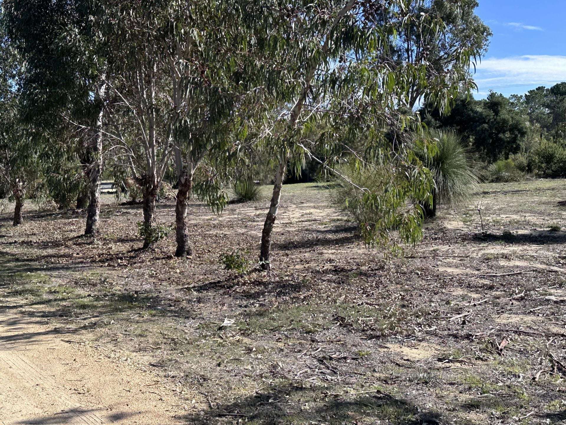 68 Kangaroo Way, Nilgen For Sale by Farmbuy.com - image 23