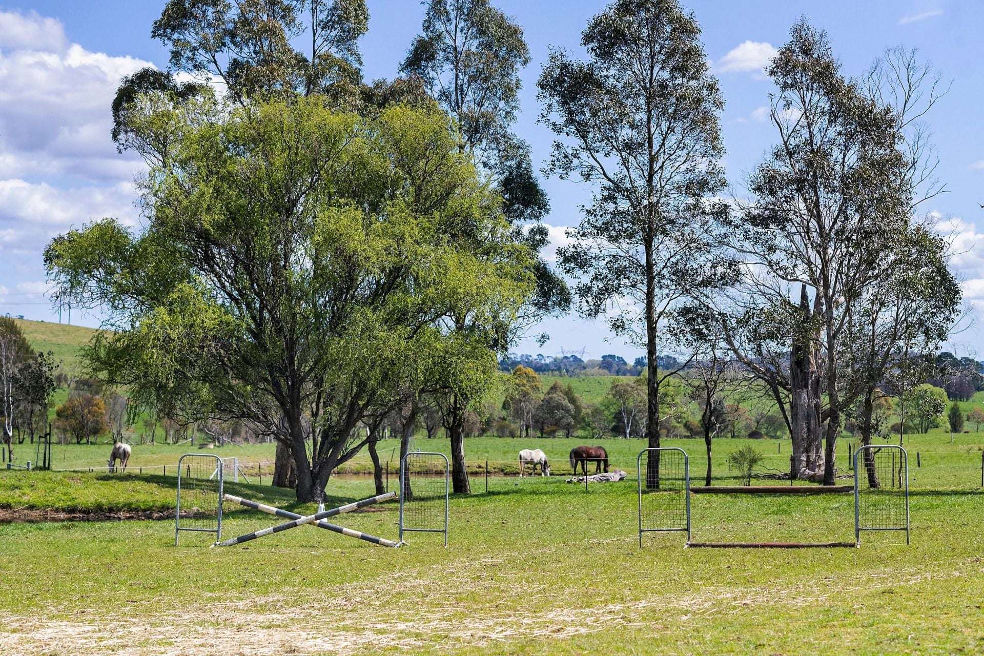 138 Bibbys Lane, Werai For Sale by Farmbuy.com - image 23