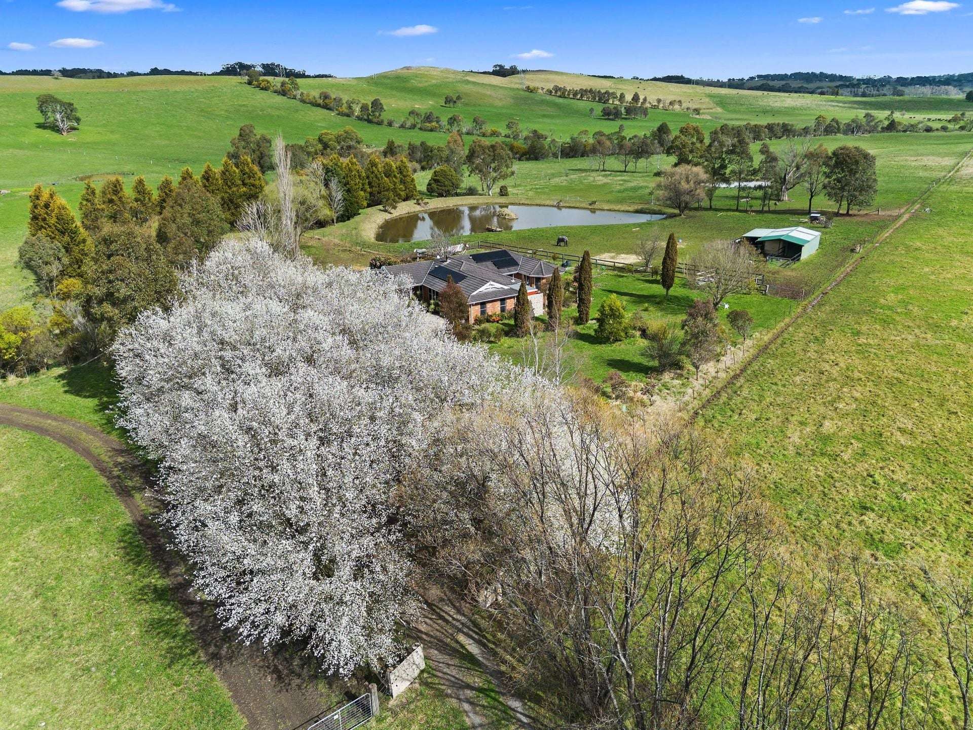 138 Bibbys Lane, Werai For Sale by Farmbuy.com - image 1