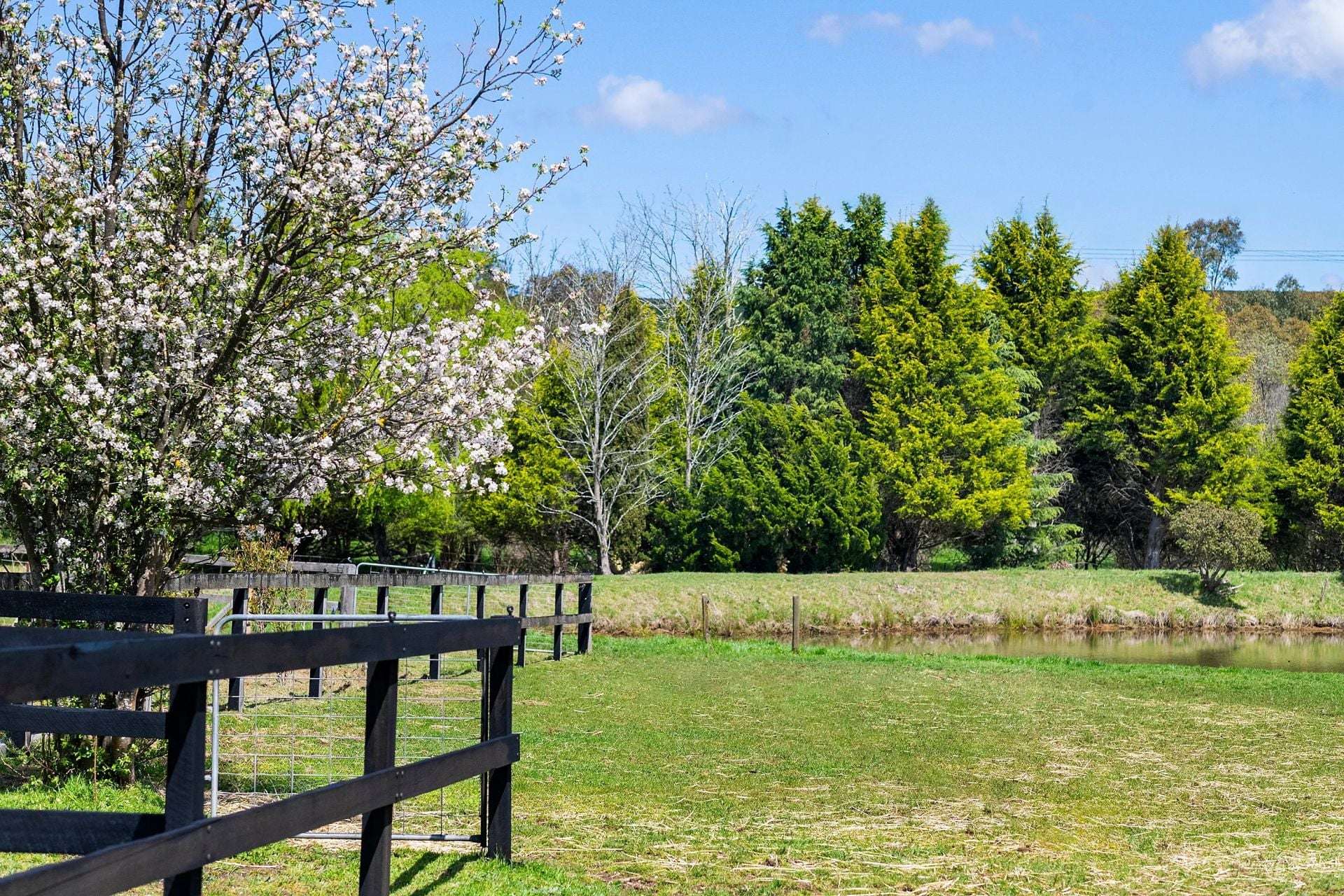 138 Bibbys Lane, Werai For Sale by Farmbuy.com - image 21