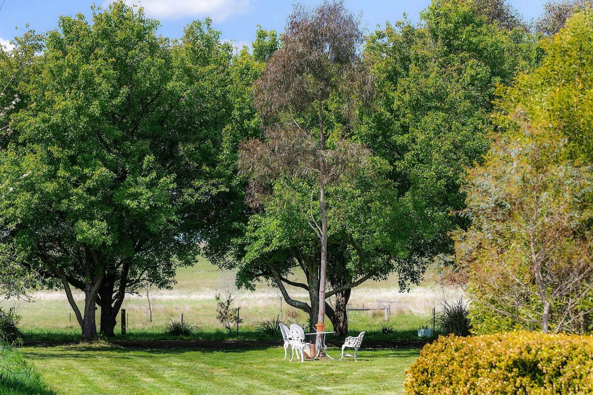 138 Bibbys Lane, Werai For Sale by Farmbuy.com - image 15