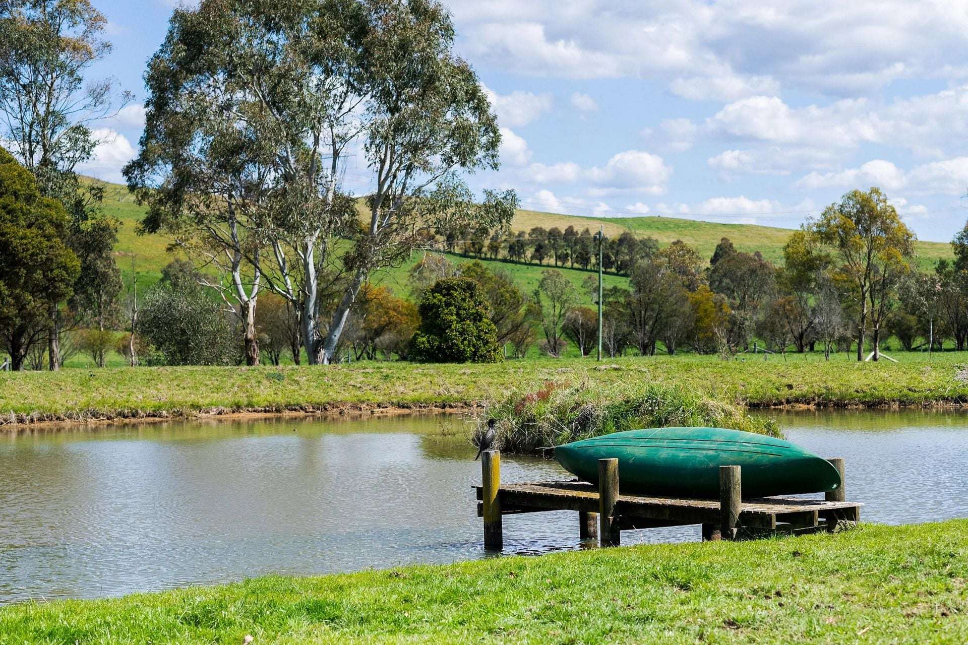 138 Bibbys Lane, Werai For Sale by Farmbuy.com - image 22