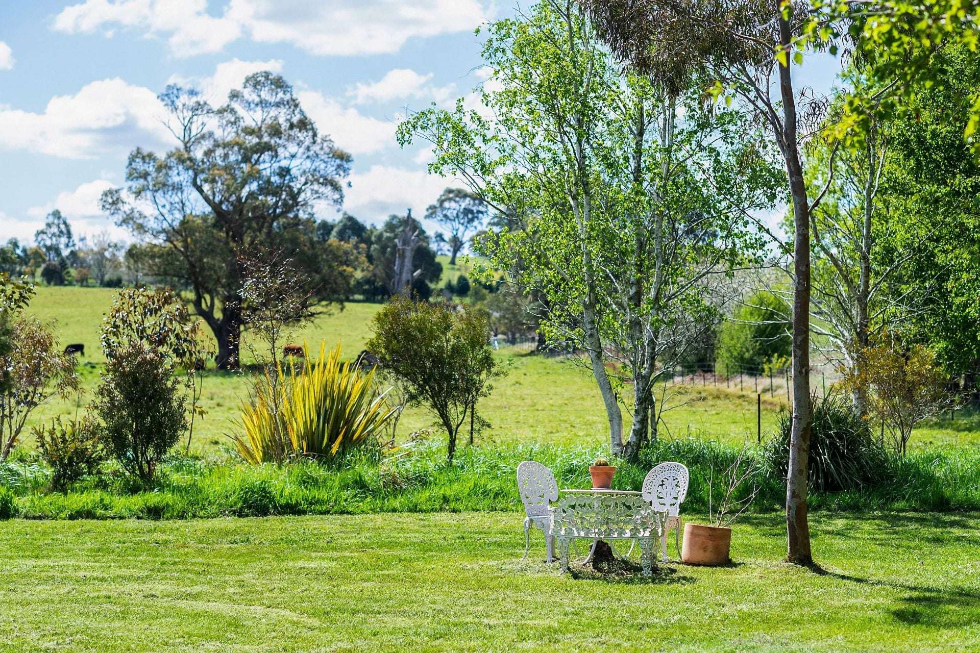 138 Bibbys Lane, Werai For Sale by Farmbuy.com - image 16