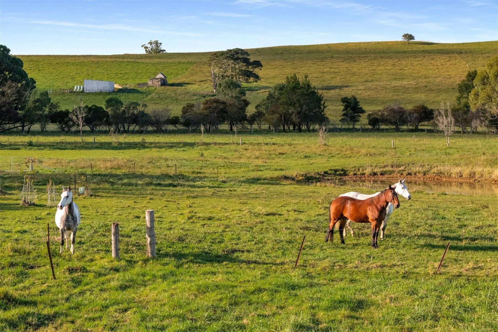 138 Bibbys Lane, Werai For Sale by Farmbuy.com - image 18