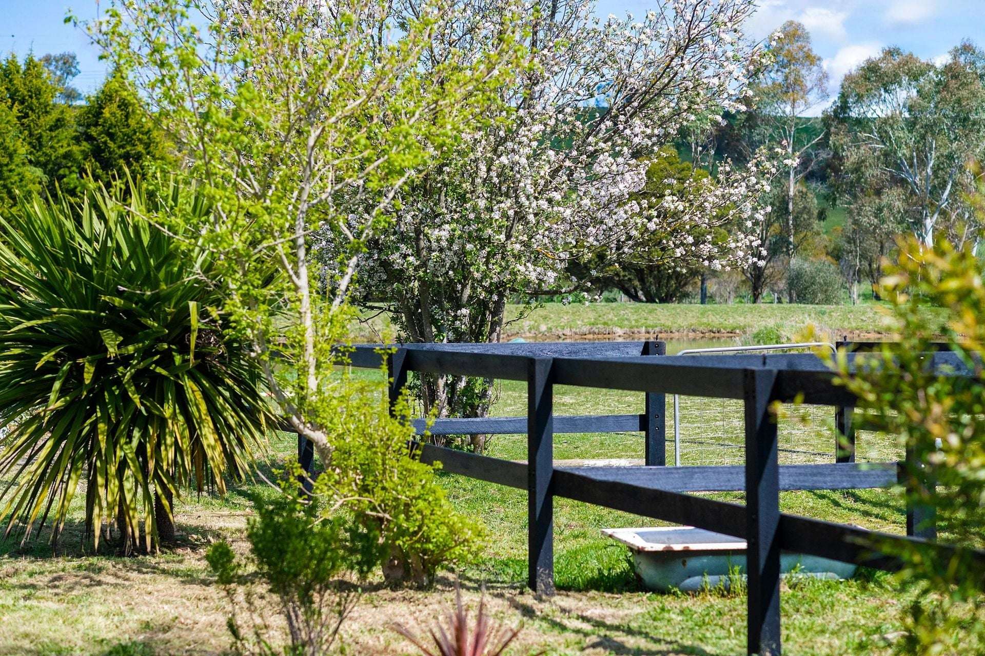 138 Bibbys Lane, Werai For Sale by Farmbuy.com - image 19