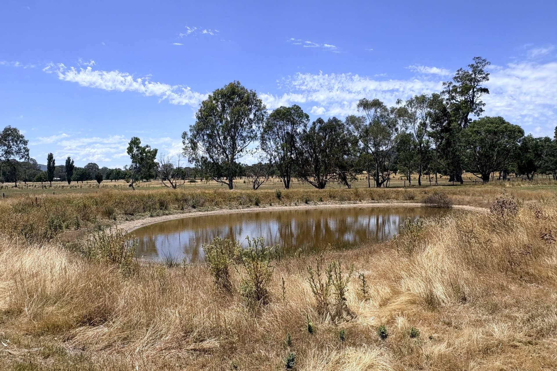 523 Howes Creek-Goughs Bay Road, Goughs Bay For Sale by Farmbuy.com - image 17