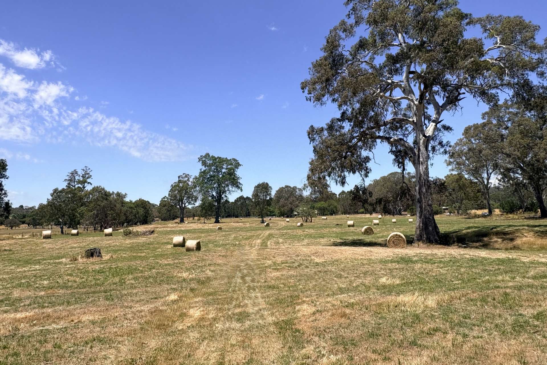 523 Howes Creek-Goughs Bay Road, Goughs Bay For Sale by Farmbuy.com - image 18