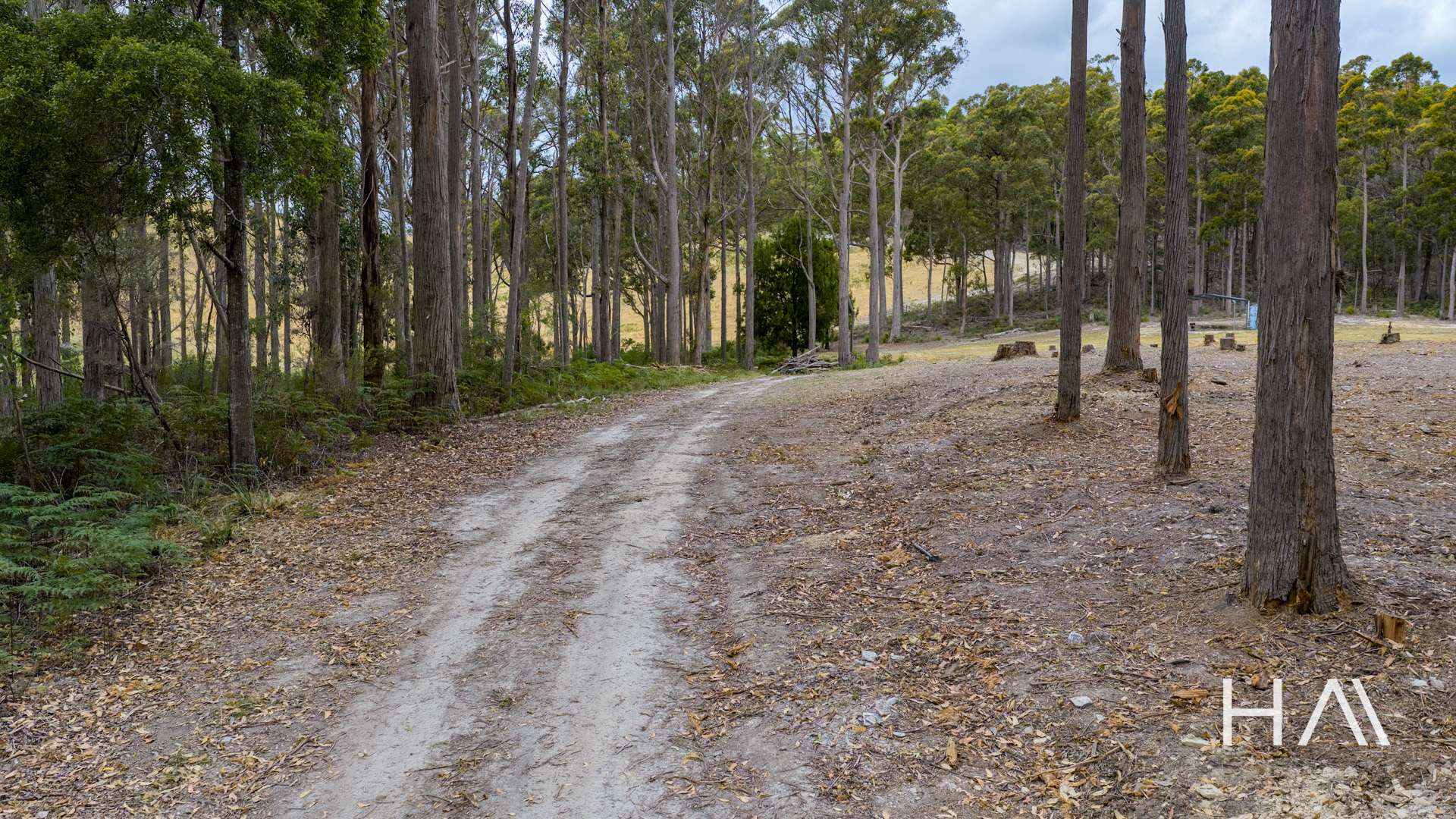 Lot 2,  The Glen Road, Pipers River Sold by Farmbuy.com - image 6