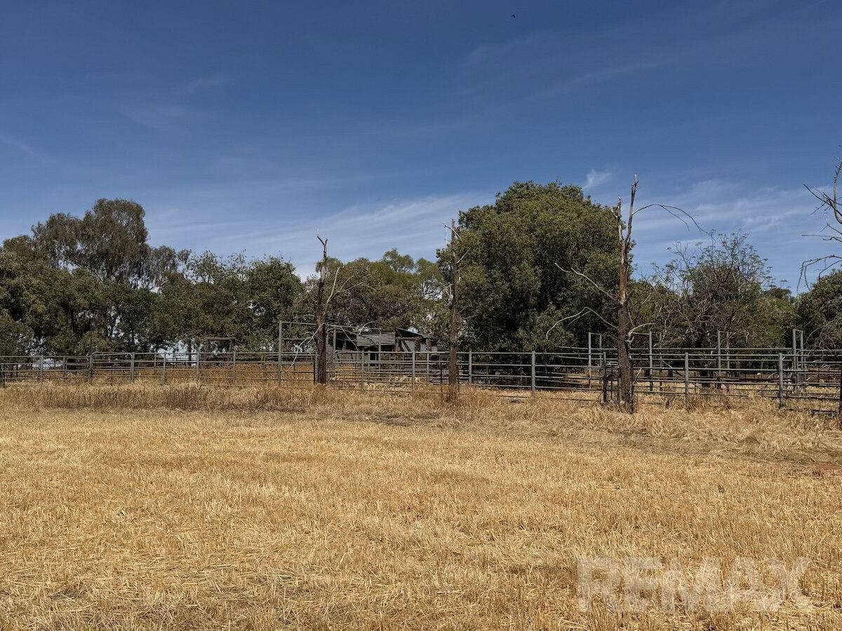 9547 Mahonga Road, Urana For Sale by Farmbuy.com - image 9