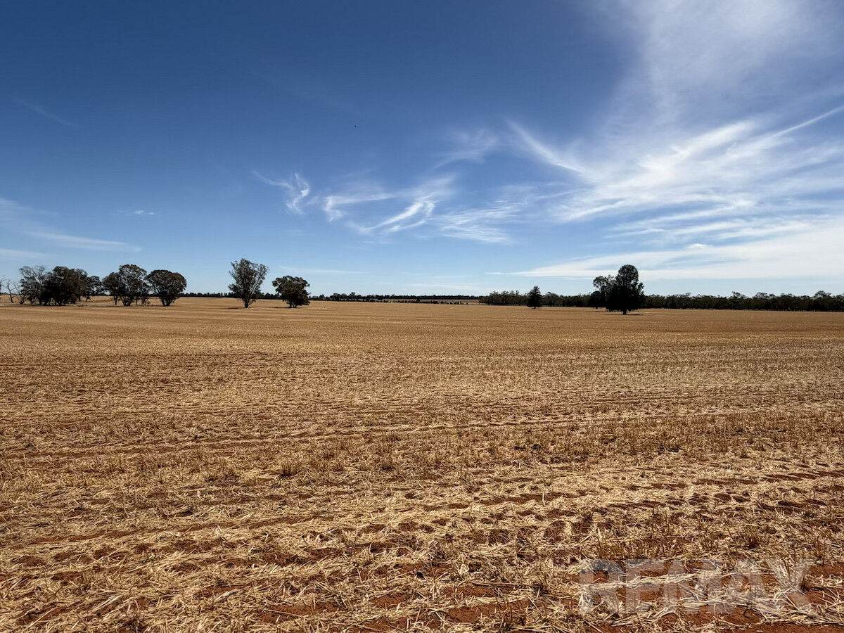 9547 Mahonga Road, Urana For Sale by Farmbuy.com - image 10