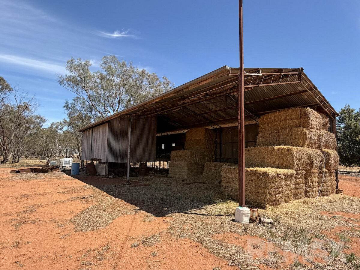 9547 Mahonga Road, Urana For Sale by Farmbuy.com - image 3
