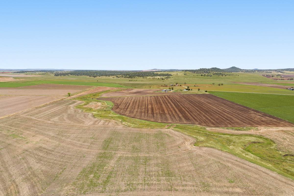 2991 Toowoomba Karara Road, Felton For Sale by Farmbuy.com - image 20