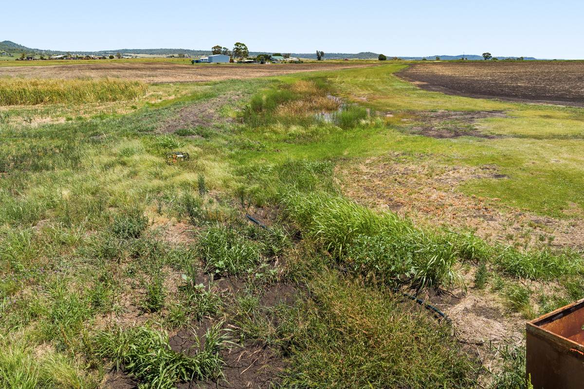 2991 Toowoomba Karara Road, Felton For Sale by Farmbuy.com - image 16