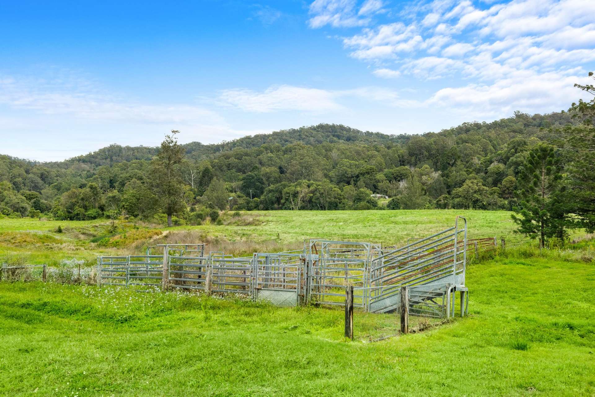 1855 Nimbin Road, Coffee Camp For Sale by Farmbuy.com - image 28