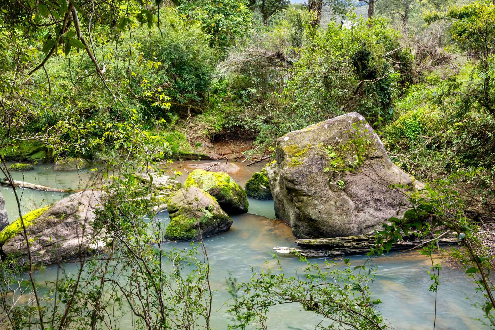 1855 Nimbin Road, Coffee Camp For Sale by Farmbuy.com - image 31