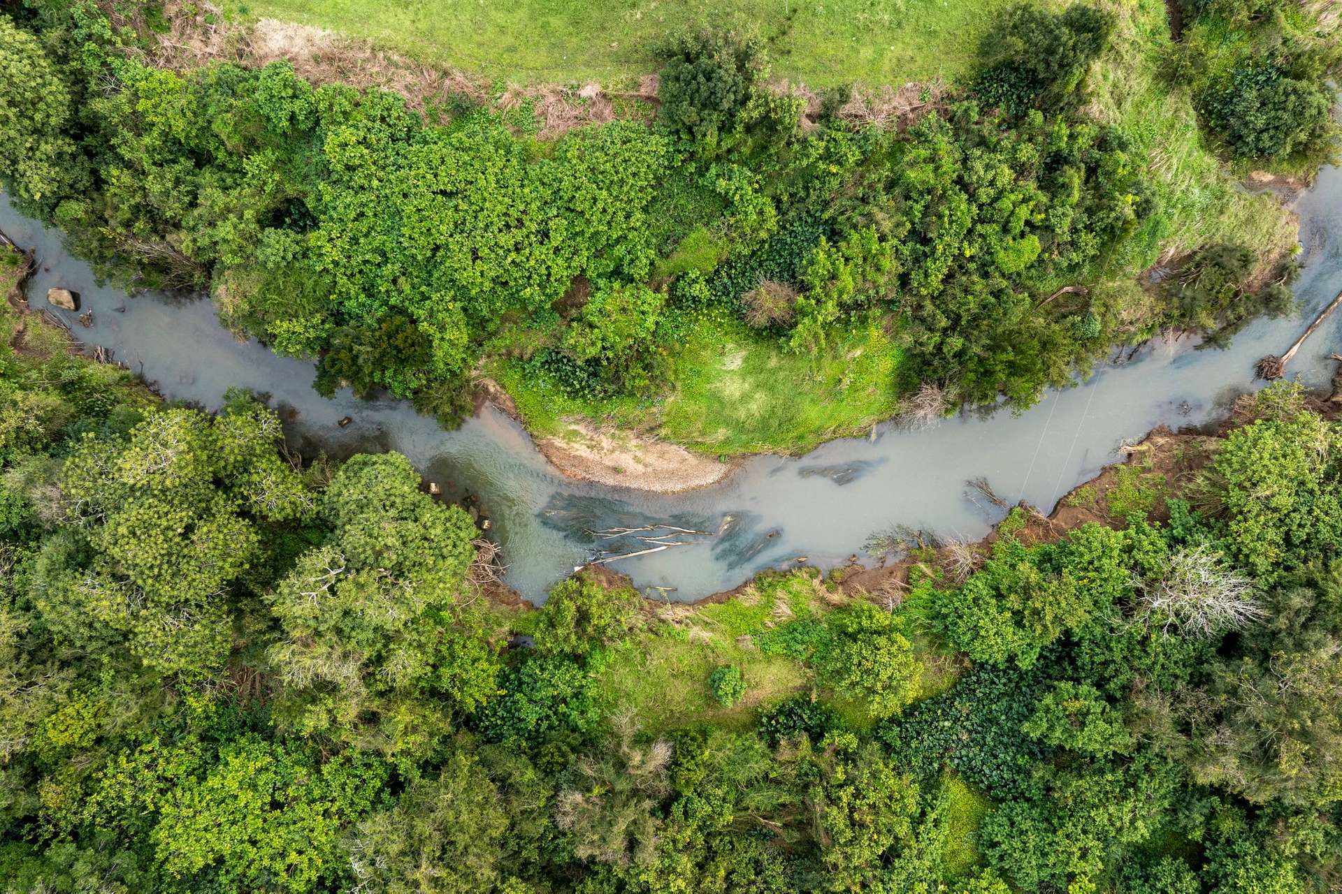 1855 Nimbin Road, Coffee Camp For Sale by Farmbuy.com - image 30