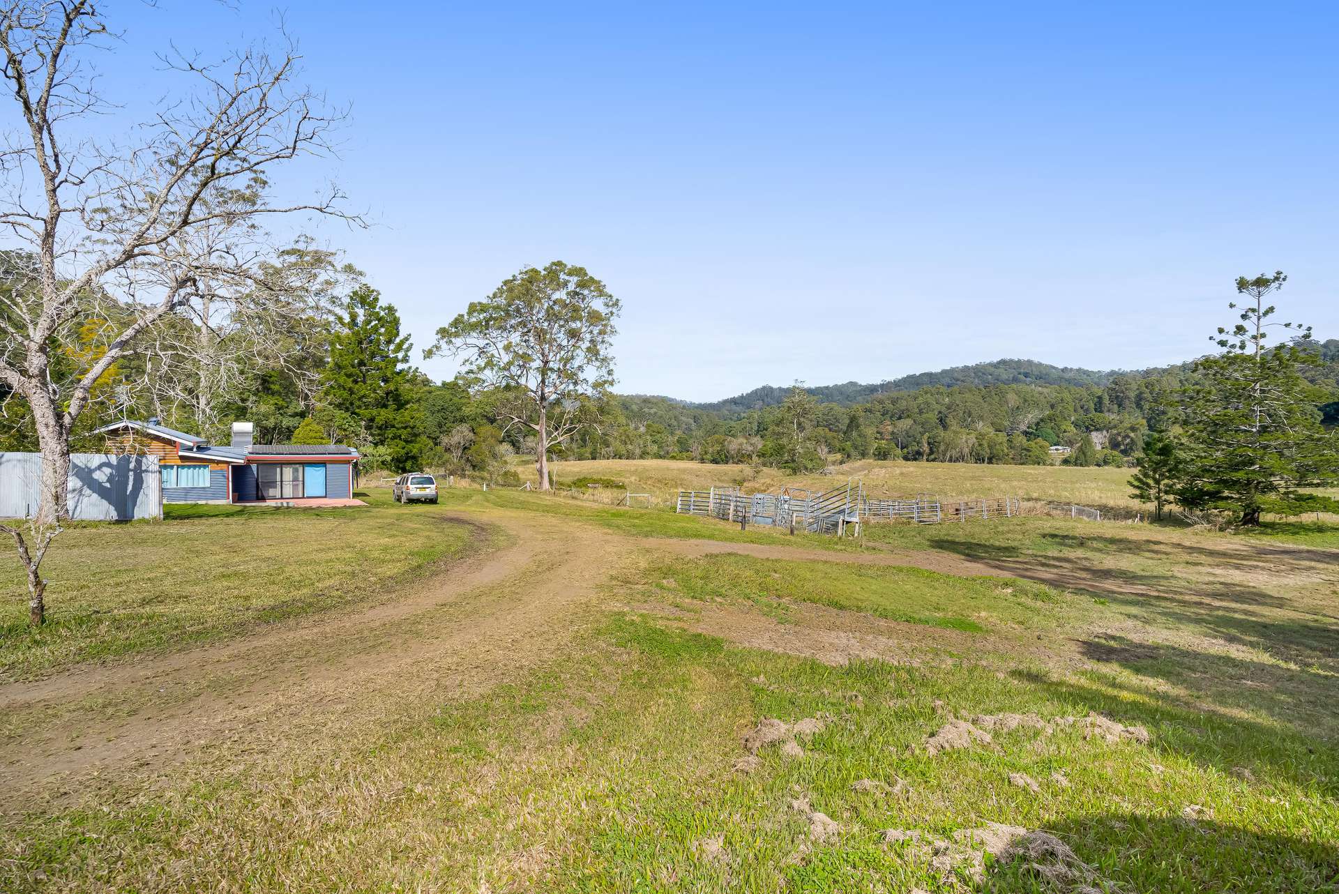 1855 Nimbin Road, Coffee Camp For Sale by Farmbuy.com - image 26