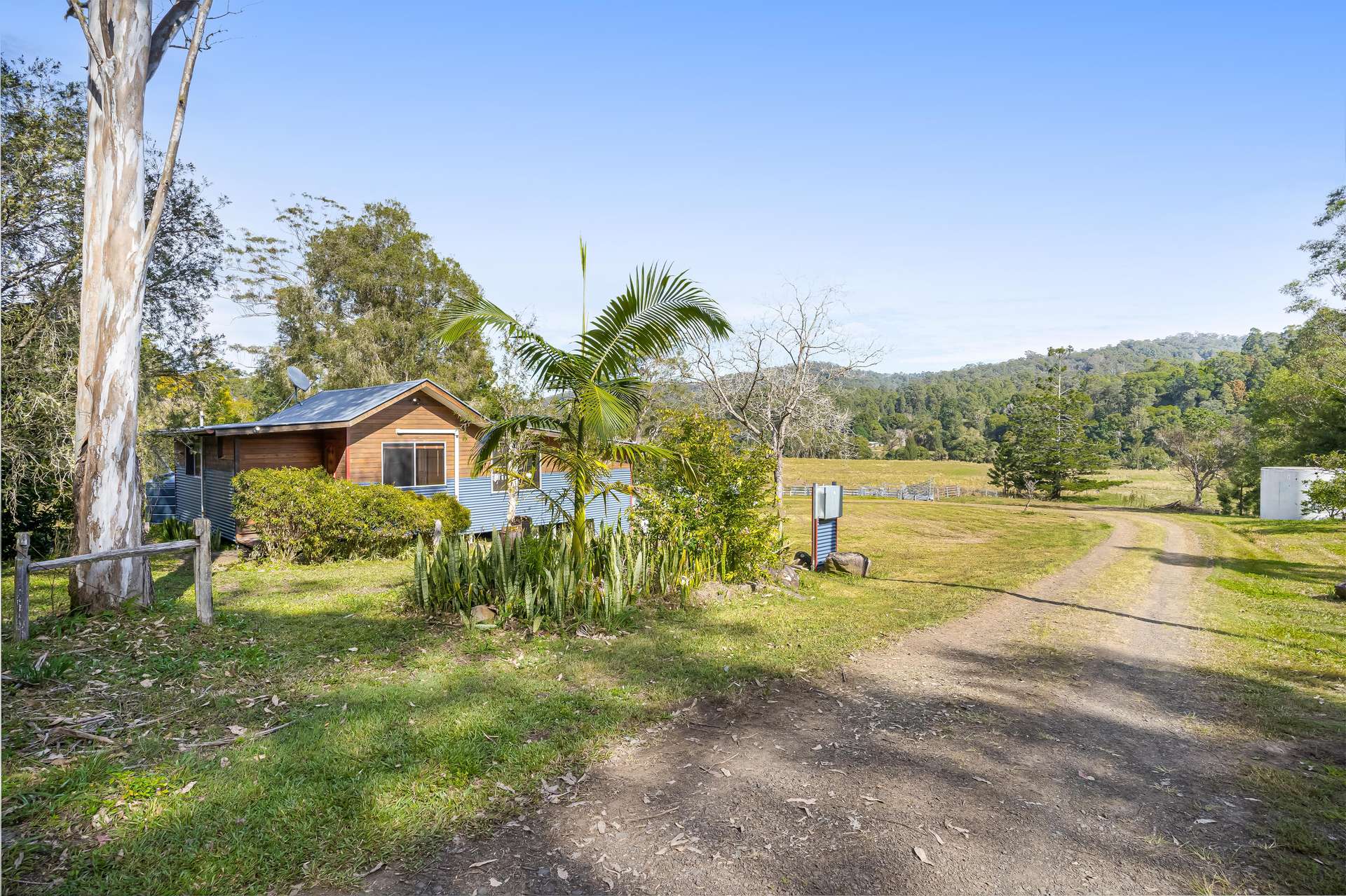 1855 Nimbin Road, Coffee Camp For Sale by Farmbuy.com - image 4
