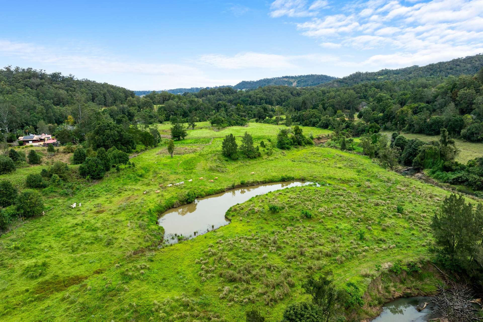 1855 Nimbin Road, Coffee Camp For Sale by Farmbuy.com - image 32