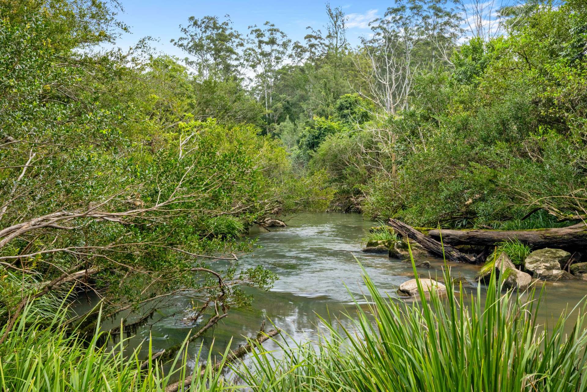 1855 Nimbin Road, Coffee Camp For Sale by Farmbuy.com - image 34
