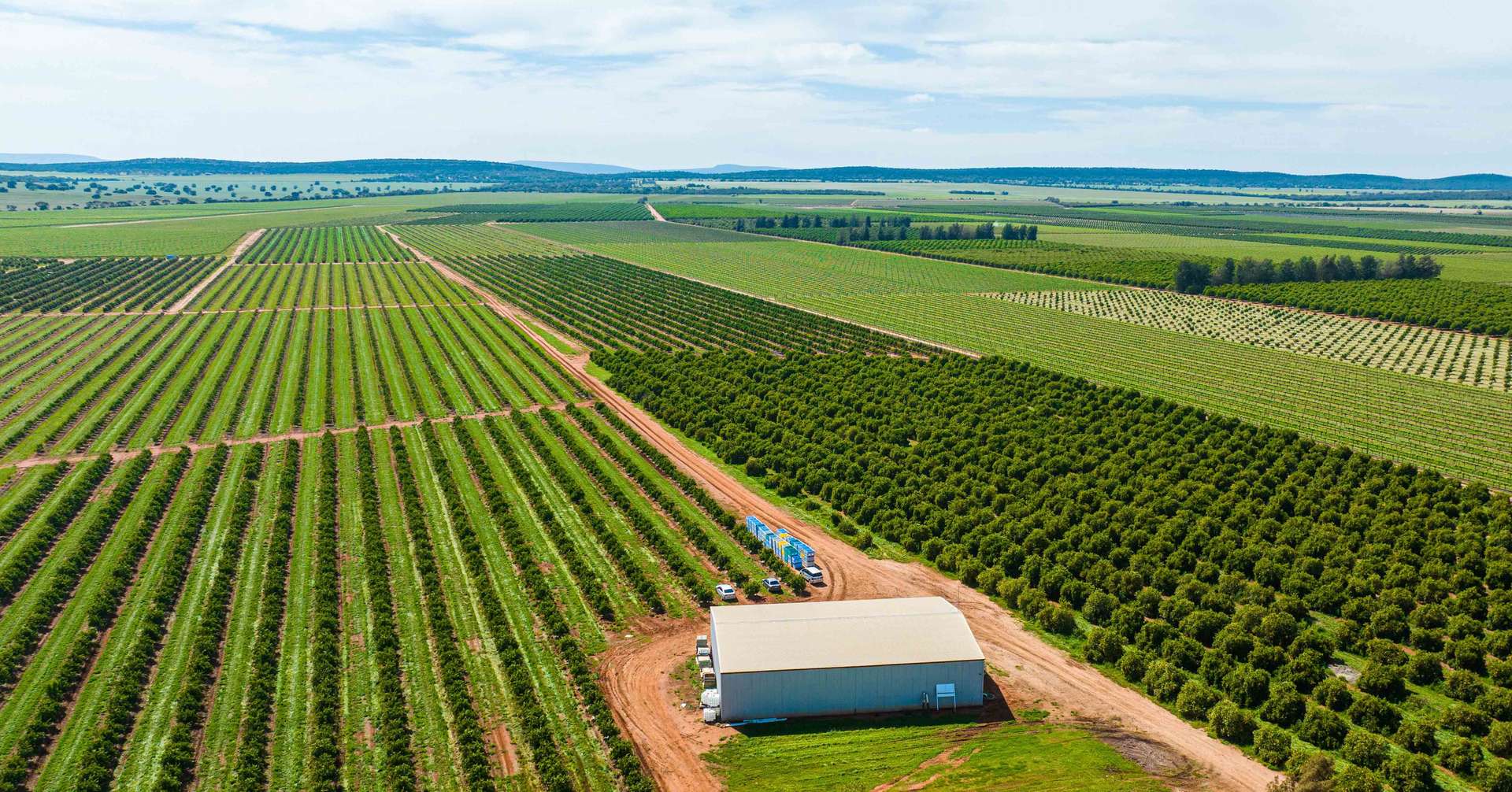Nericon For Sale by Farmbuy.com - image 20