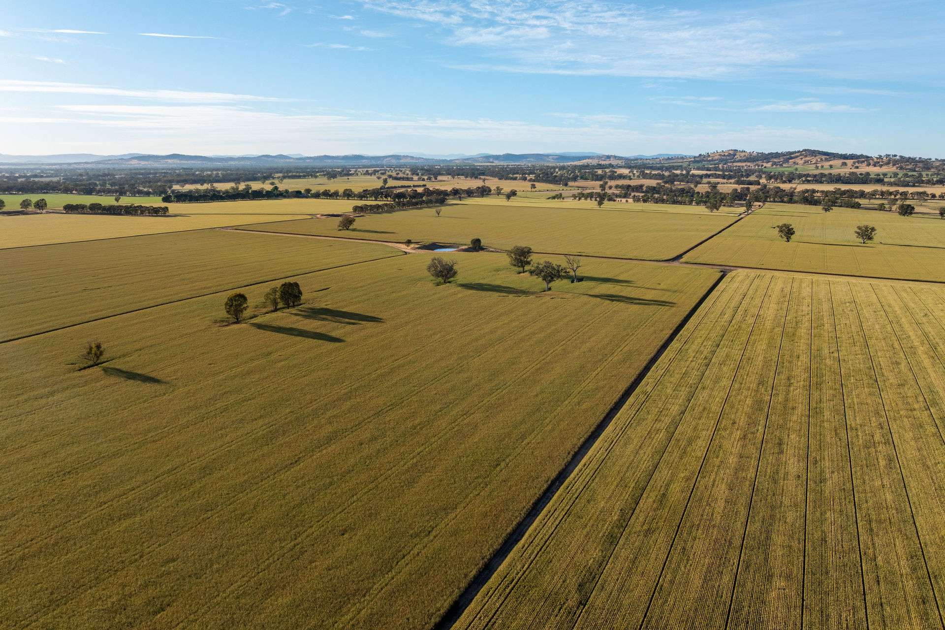 158 Bethel Road, Burrumbuttock For Sale by Farmbuy.com - image 12