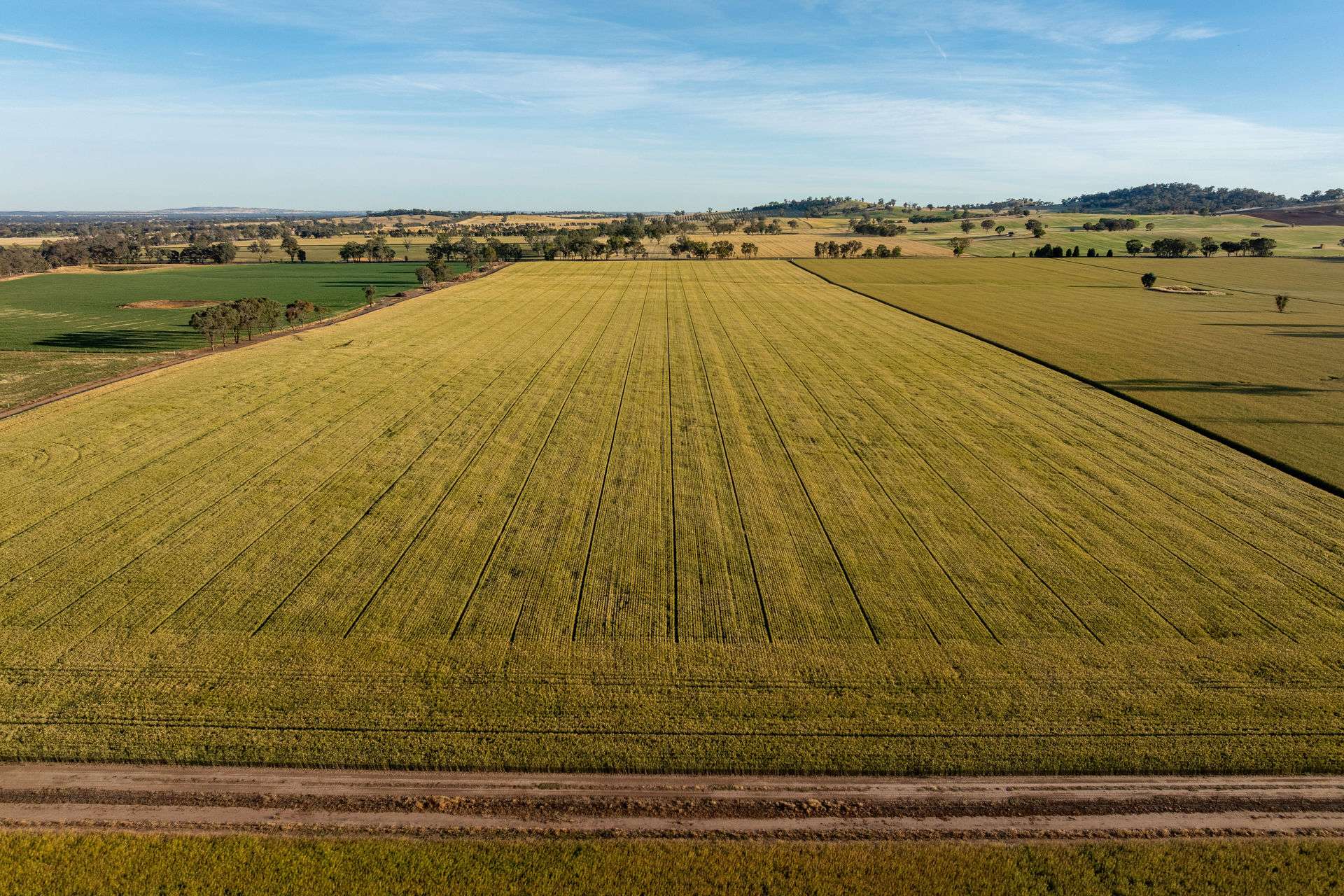 158 Bethel Road, Burrumbuttock For Sale by Farmbuy.com - image 9