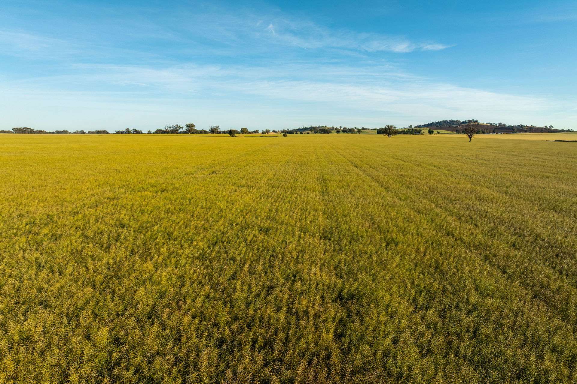 158 Bethel Road, Burrumbuttock For Sale by Farmbuy.com - image 5