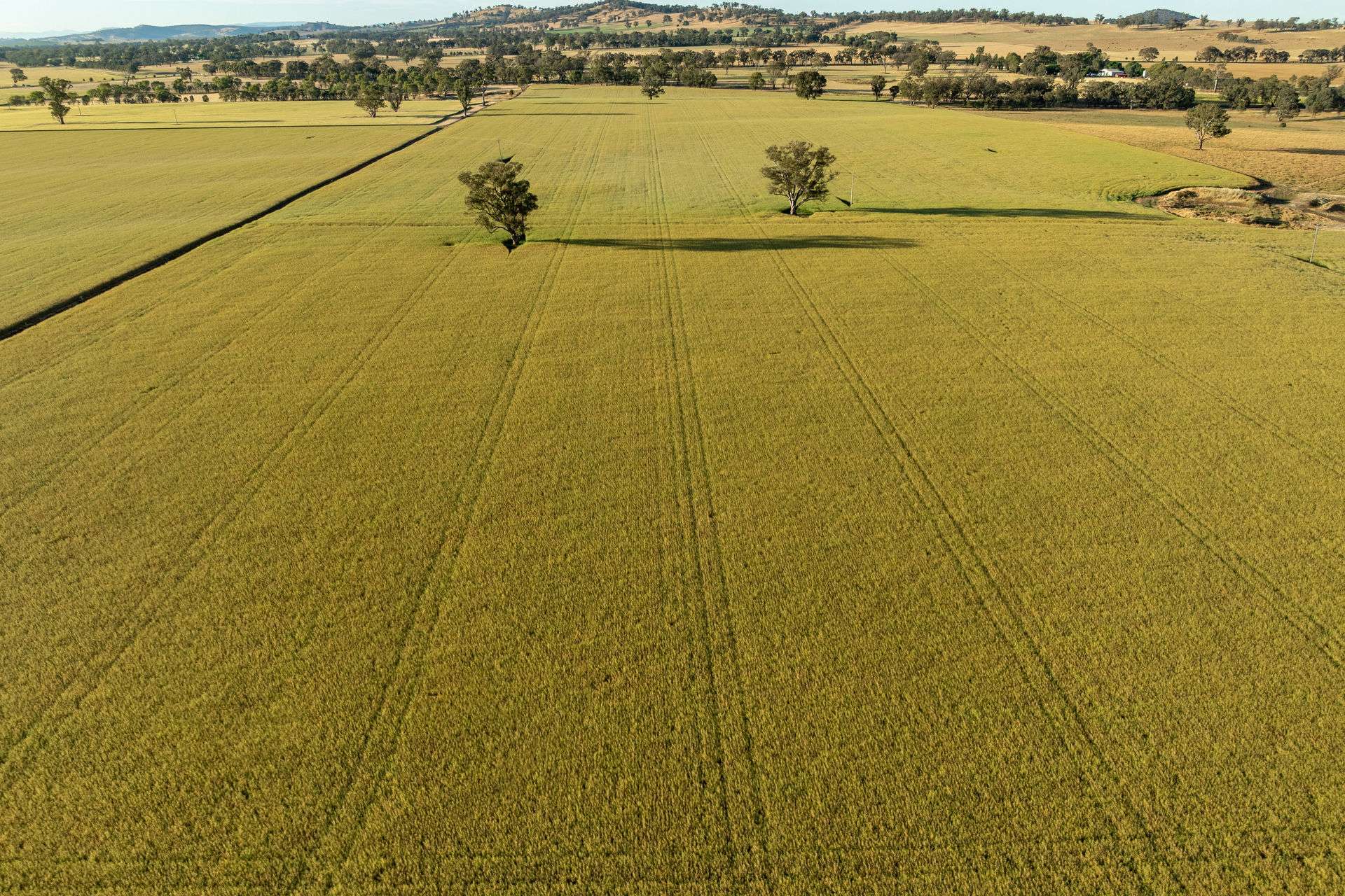 158 Bethel Road, Burrumbuttock For Sale by Farmbuy.com - image 10