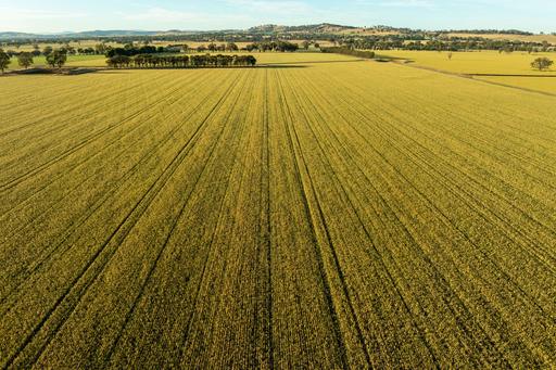 158 Bethel Road, Burrumbuttock NSW 2642