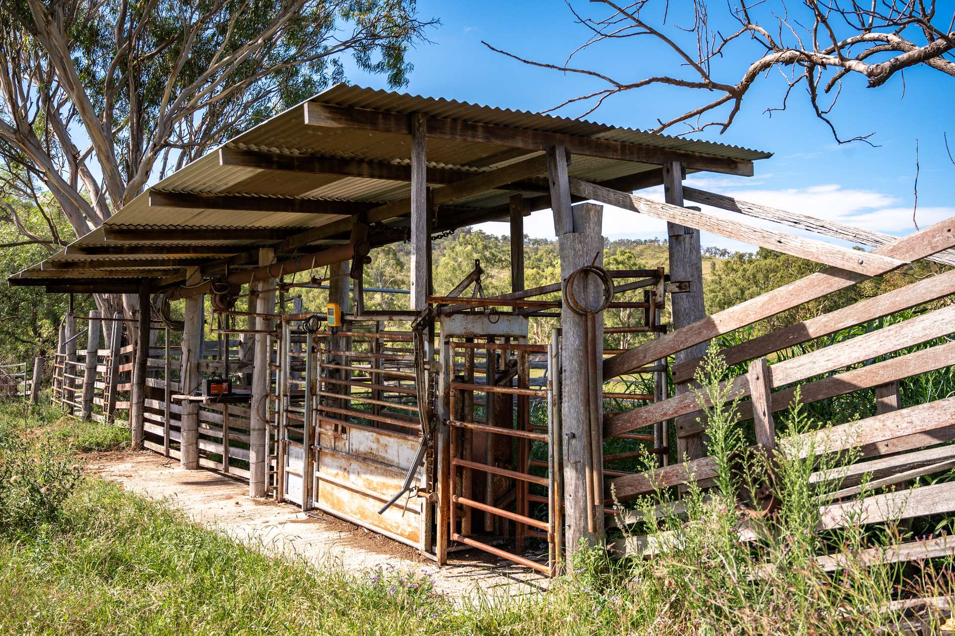 1006 North Branch Road, Goomburra Sold by Farmbuy.com - image 17